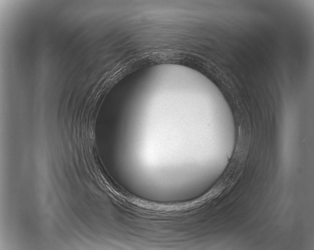 X0000079310048200611170906