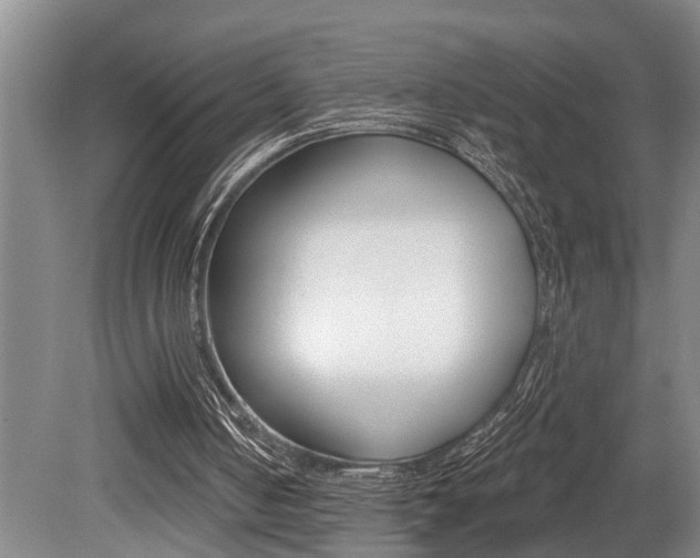X0000079310050200611170905