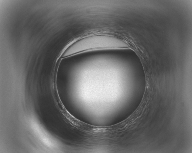 X0000079310052200611170905