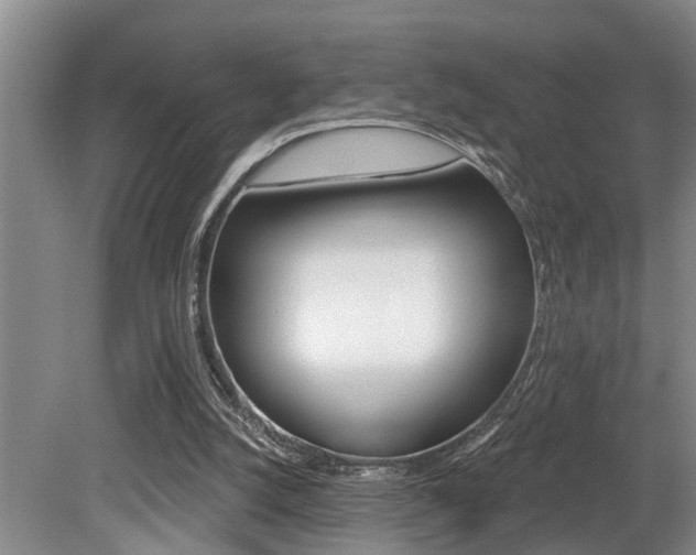 X0000079310056200611170905