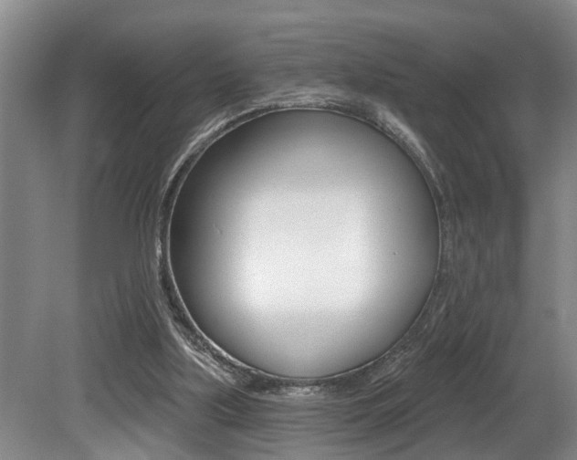 X0000079310059200611170905
