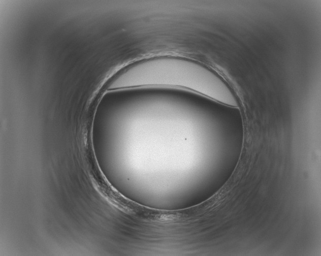 X0000079310060200611170905