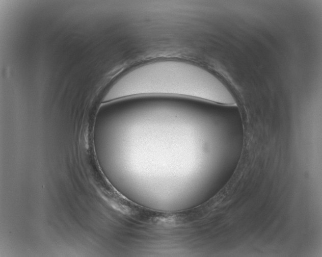 X0000079310068200611170905