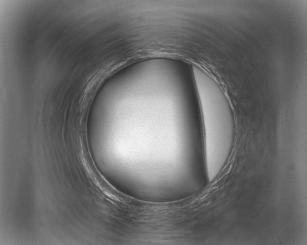 X0000079310097200611170905