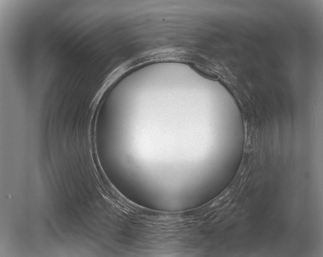 X0000079310099200611170905