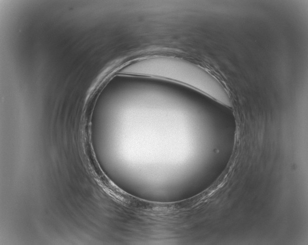 X0000079310101200611170905