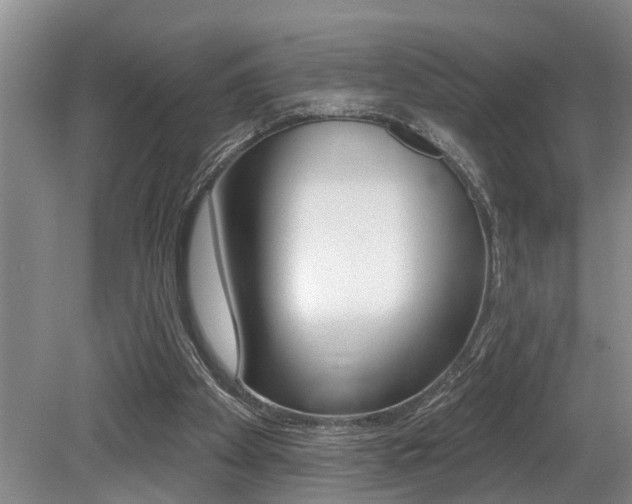 X0000079310105200611170905