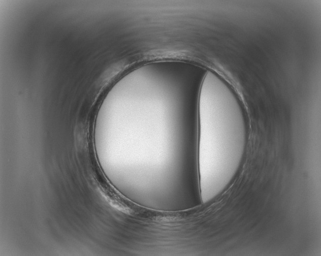 X0000079310107200611170905