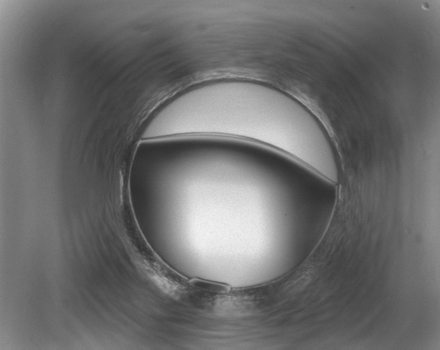 X0000079310109200611170905