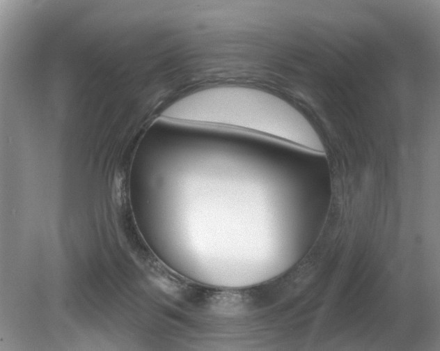X0000079310123200611170905