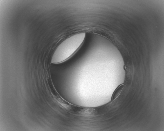 X0000079310128200611170905