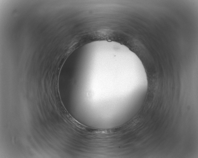 X0000079310131200611170905