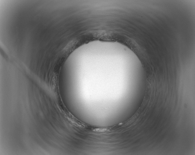 X0000079310133200611170905