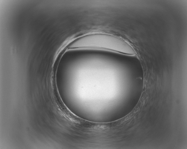 X0000079310152200611170904