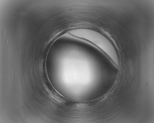 X0000079310154200611170904