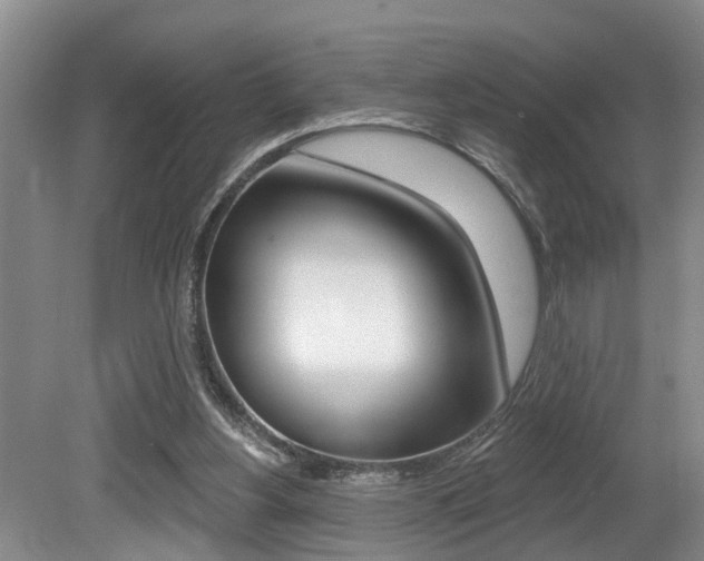 X0000079310156200611170904
