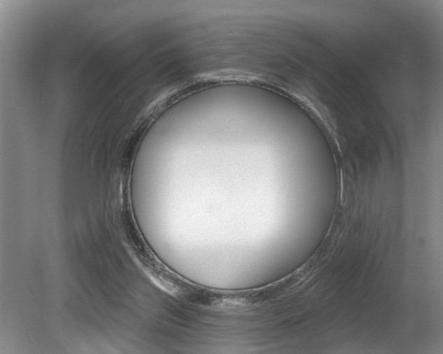 X0000079310157200611170904