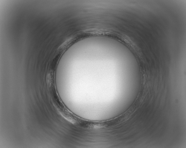 X0000079310165200611170904