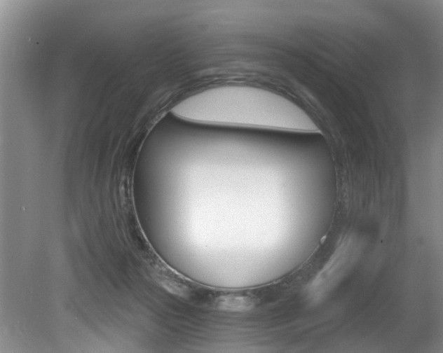 X0000079310169200611170904