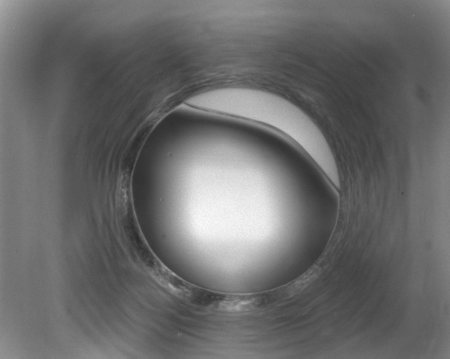 X0000079310172200611170904