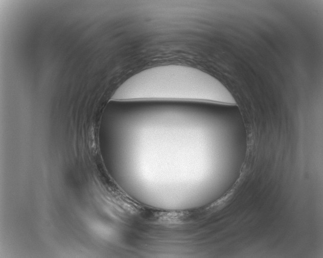 X0000079310182200611170904