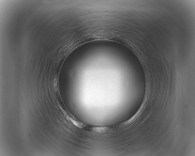 X0000079310192200611170904
