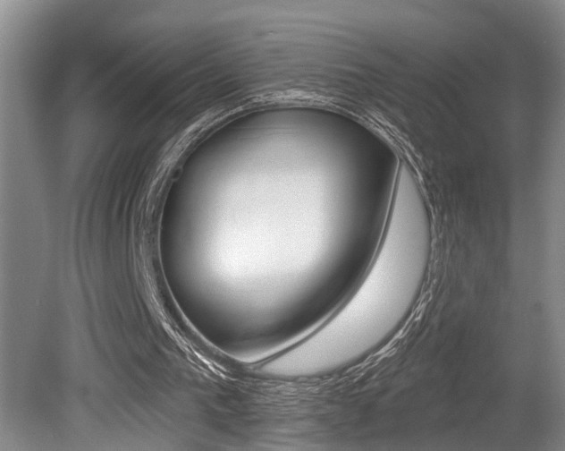 X0000079310193200611170903
