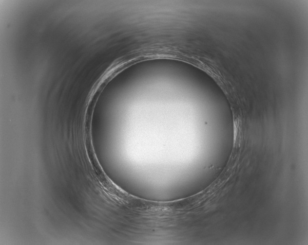 X0000079310195200611170903