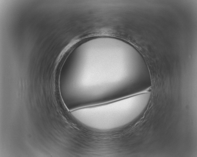 X0000079310200200611170903
