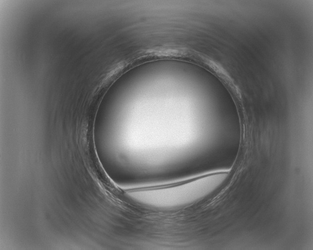 X0000079310201200611170903
