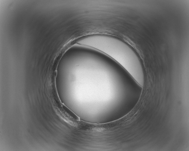 X0000079310203200611170903