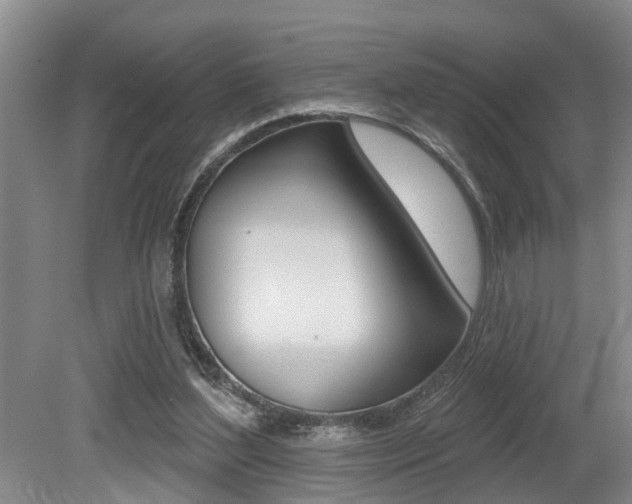 X0000079310204200611170903