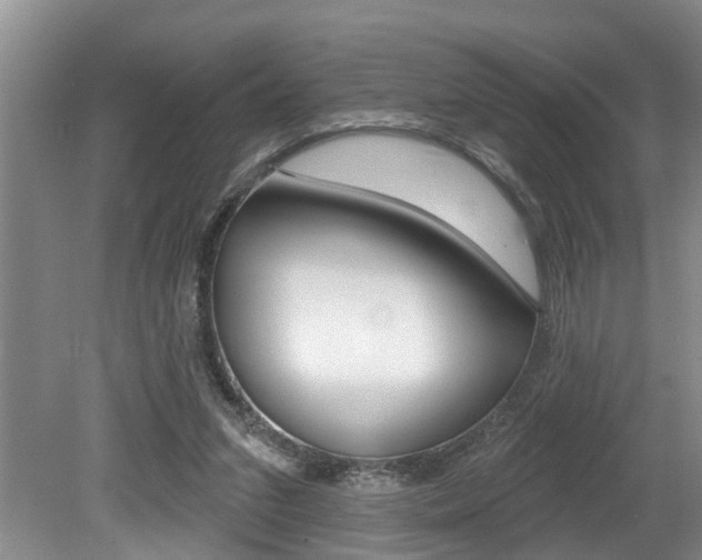 X0000079310207200611170903