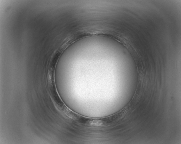 X0000079310214200611170903