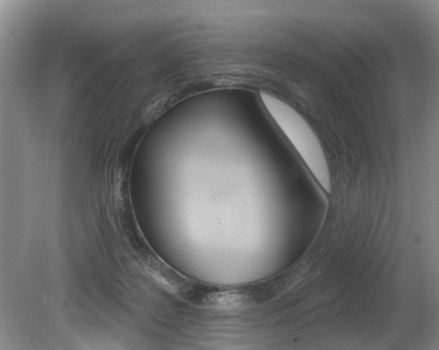 X0000079310219200611170903