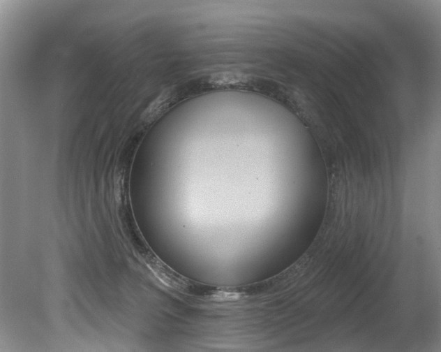 X0000079310227200611170903