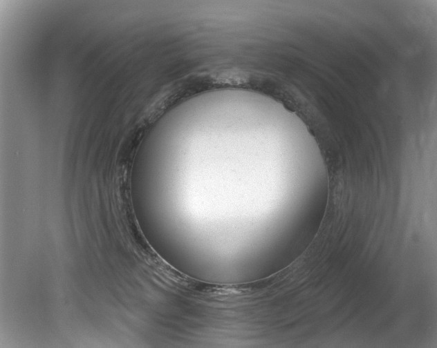 X0000079310229200611170903