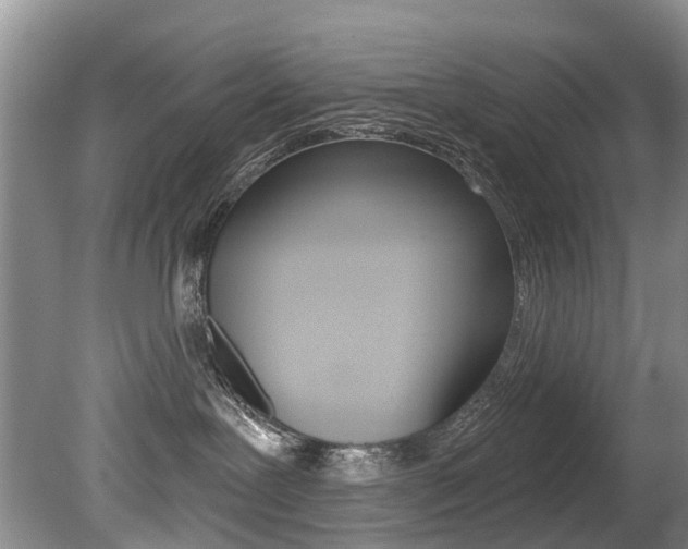 X0000079310239200611170903