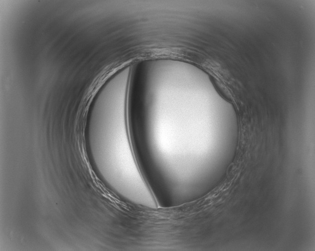 X0000079310241200611170902