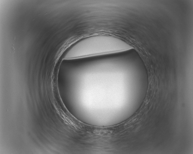 X0000079310242200611170902