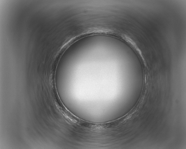 X0000079310249200611170902