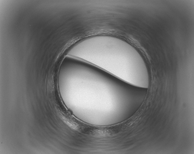 X0000079310250200611170902
