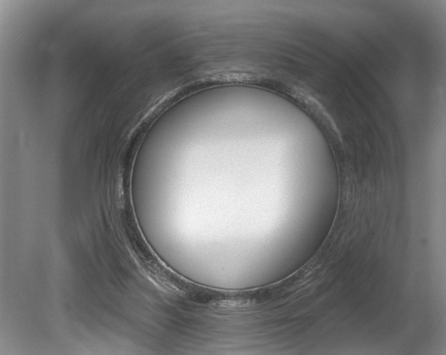 X0000079310251200611170902