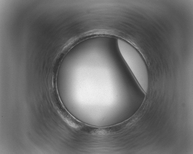 X0000079310253200611170902