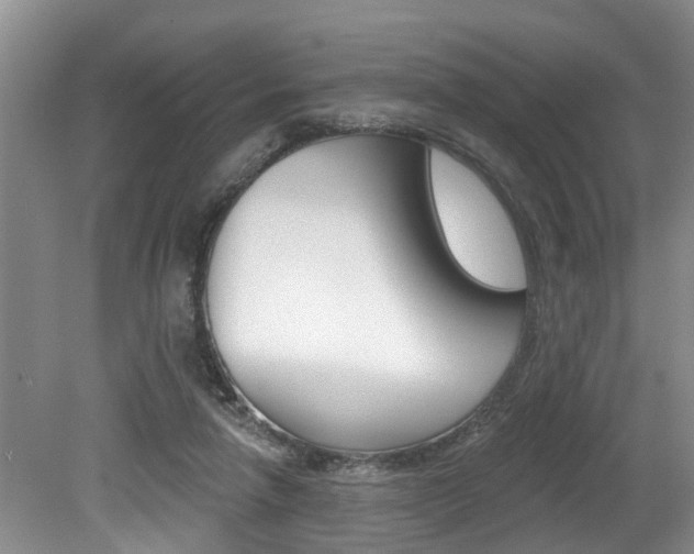X0000079310258200611170902