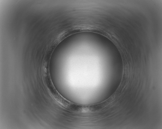 X0000079310264200611170902