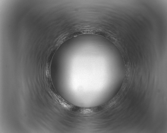 X0000079310287200611170903