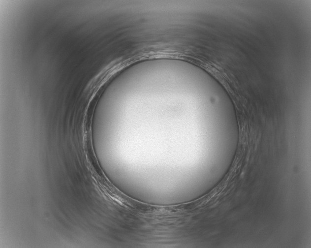 X0000079310290200611170902