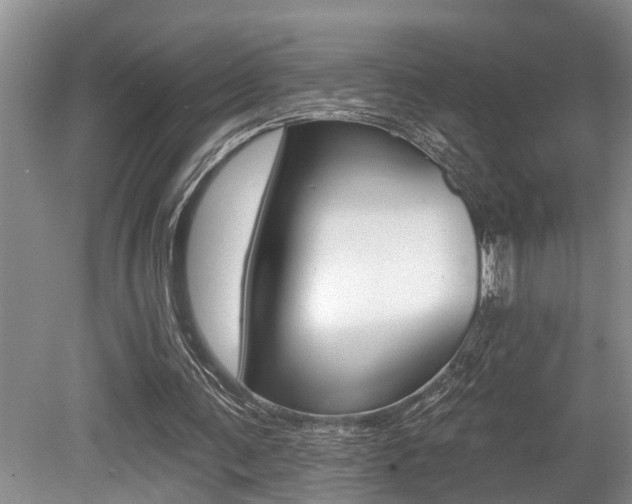 X0000079310291200611170902