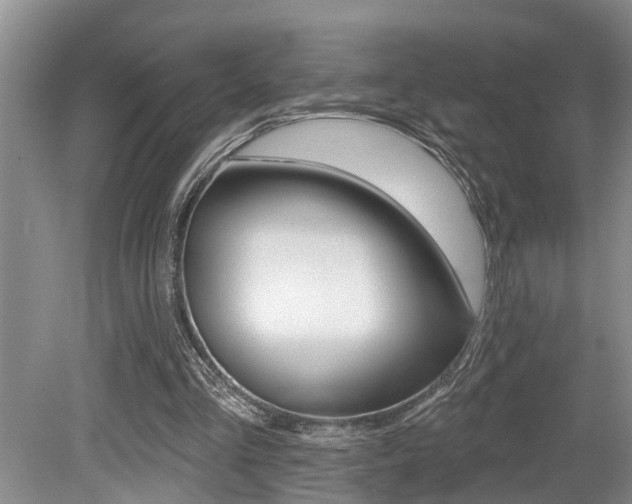 X0000079310293200611170902